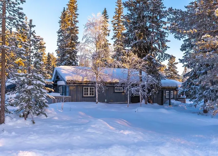 Trysilfjellet Sor 318